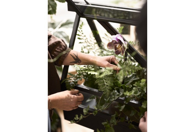 GreenHouse