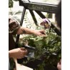 GreenHouse