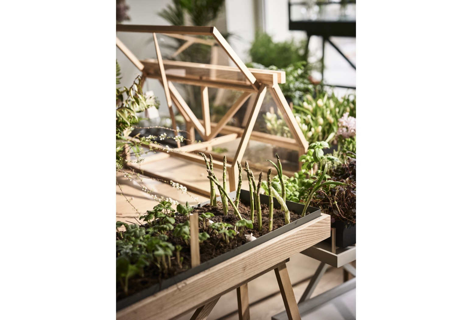 GreenHouse
