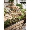 GreenHouse