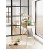 GreenHouse