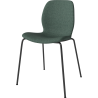Seed