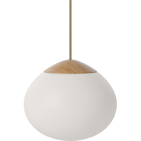 ACORN 21