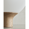 ACORN 41