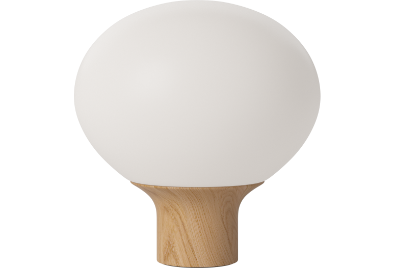 ACORN 41
