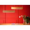 Led 120