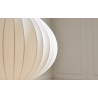 ACORN 50