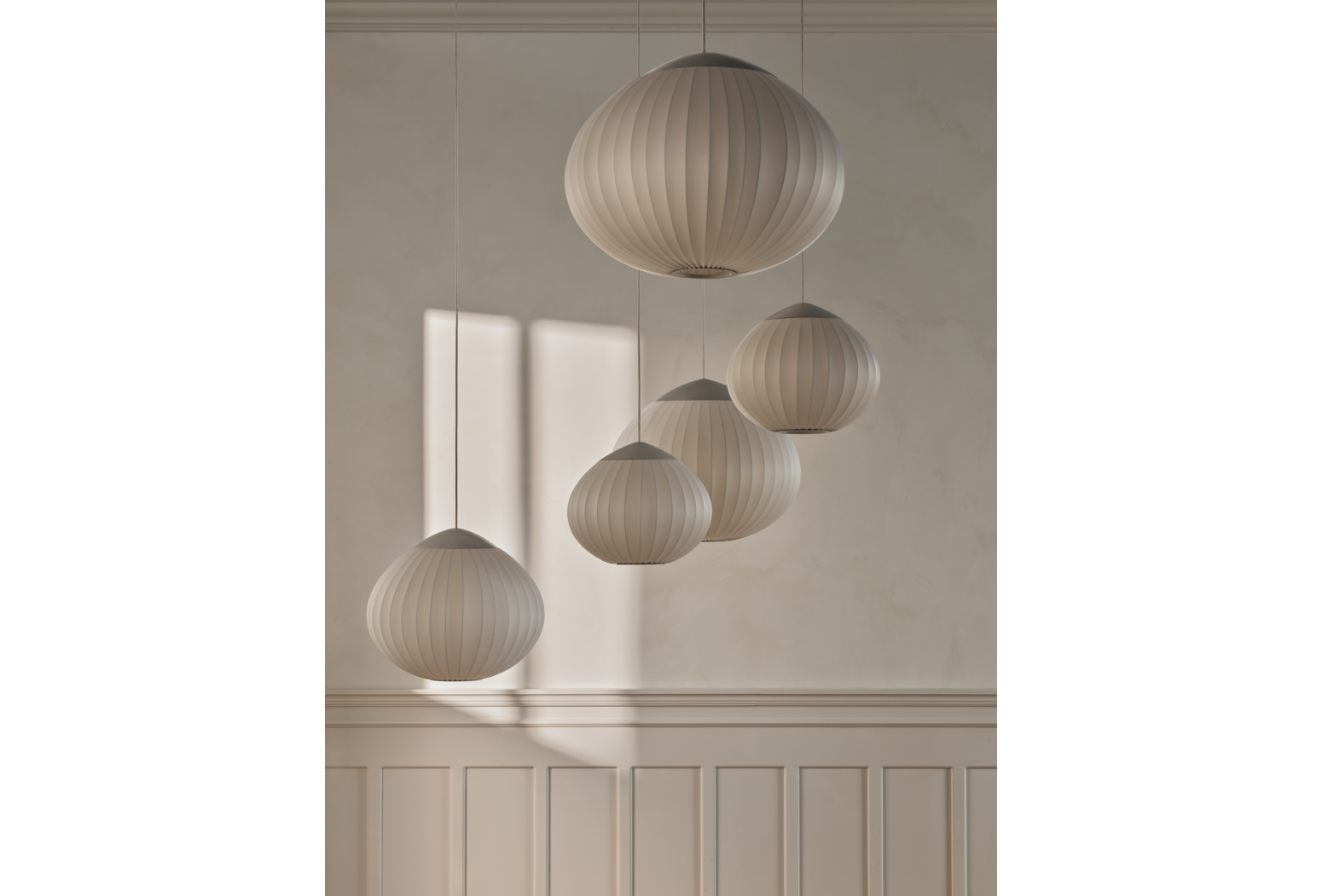 ACORN 50
