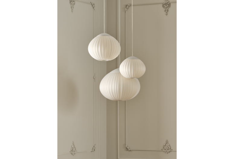 ACORN 50