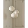 ACORN 50