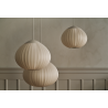 ACORN 50