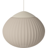 ACORN 41
