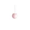 Koi 19