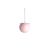 Koi 25