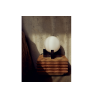 Hito