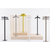 Pole
