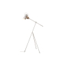 CARRONADE
